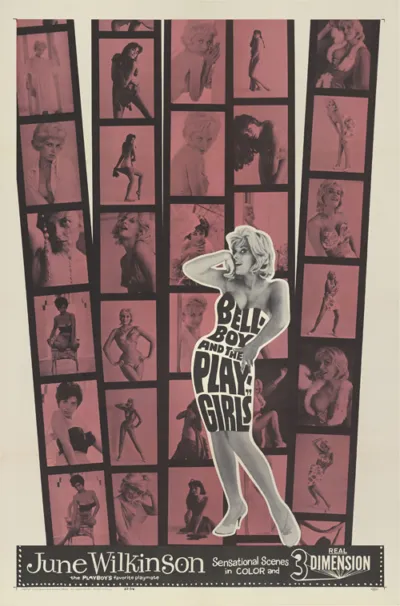 The Bellboy and the Playgirls