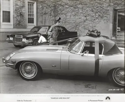 Harold and Maude