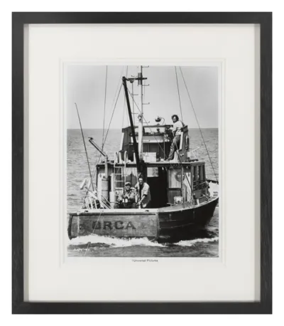 Jaws