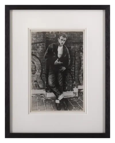 Rebel Without a Cause