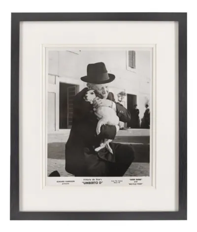Umberto D